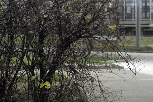 DSC7887.jpg
