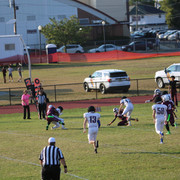 IMG-5231