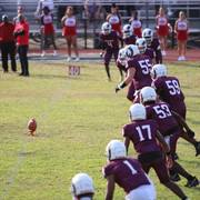 IMG-1867