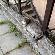IMG-3109