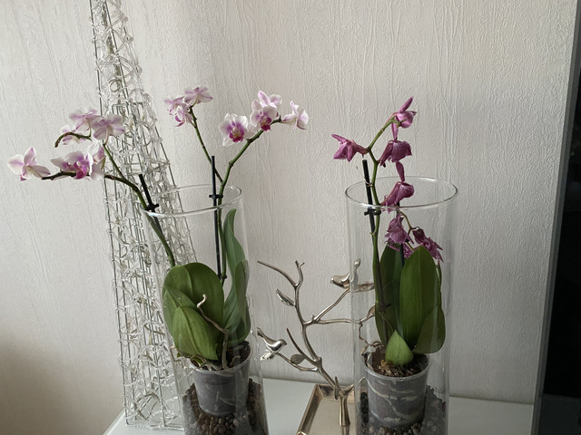 B1-D7-FC8-C-5069-4-B81-9025-E40-C82-F7-A