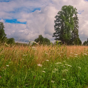 DSCF5138