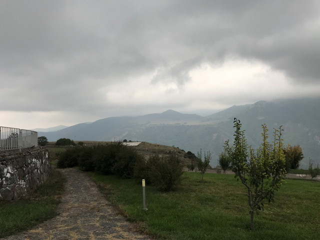 IMG-1330