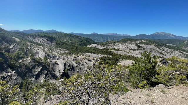 Ki06-37.jpg