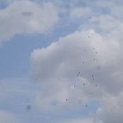 DSC01201