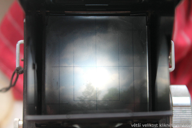 IMG-2582.jpg