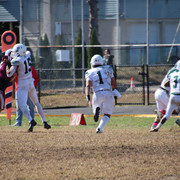 IMG-3411