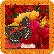 Jewels-4369-A
