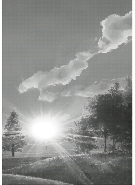 DLRAW-NET-0006