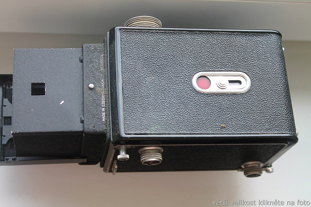 IMG-2546.jpg