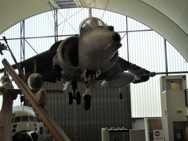 DSC02220-2.jpg