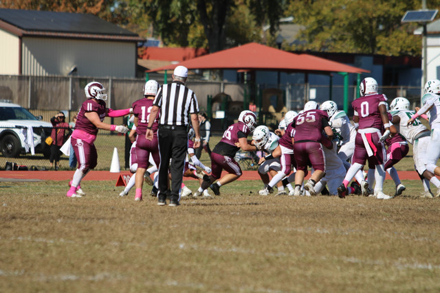 IMG-8078.jpg