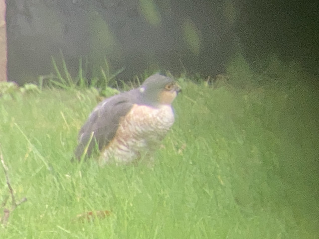 45-B7-BD12-CDDD-4-D5-D-A5-BC-A765-F960-E882