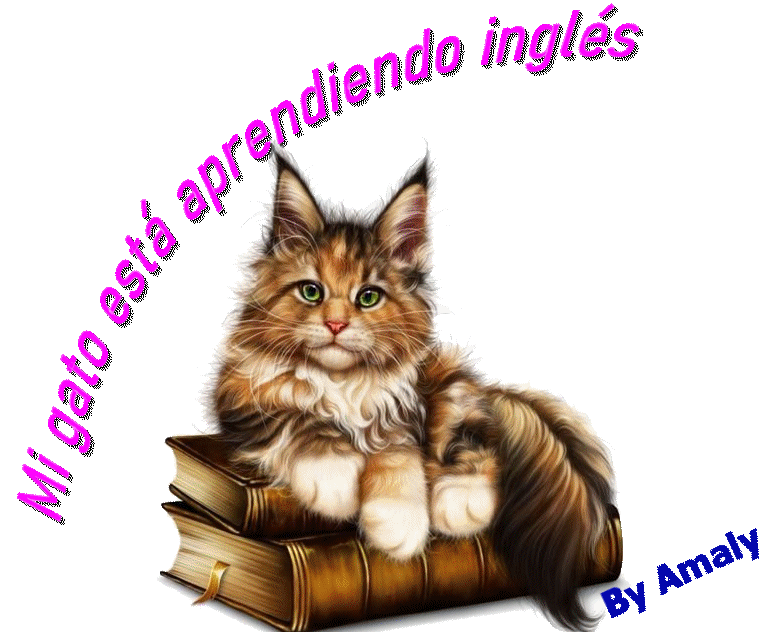 Gato-ingles