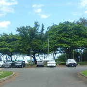 P1070376