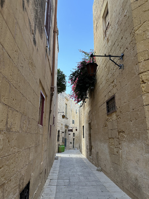 IMG-7671