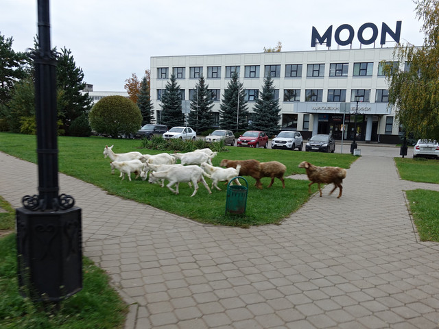 DSC02098.jpg