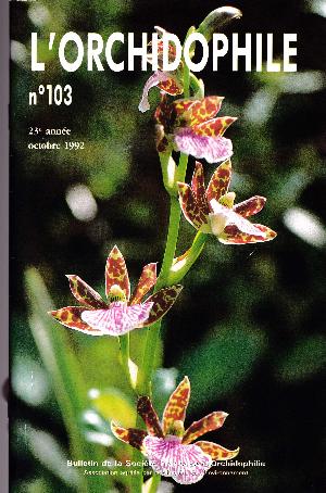 orchido103.jpg?042148