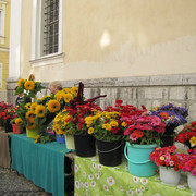 IMG-3819