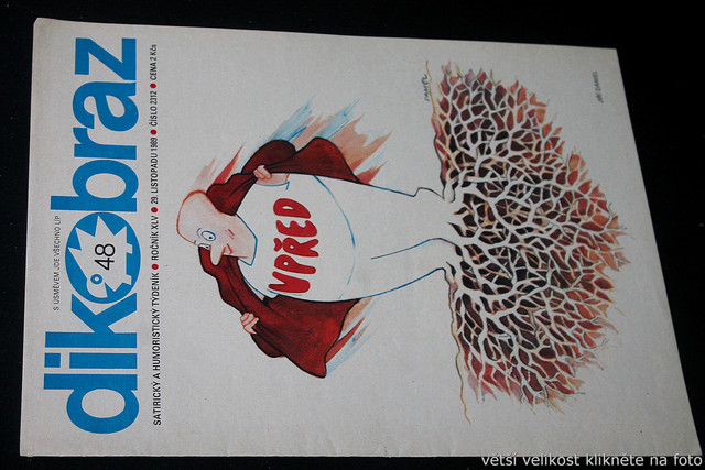 IMG-7691.jpg