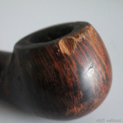 IMG-8556