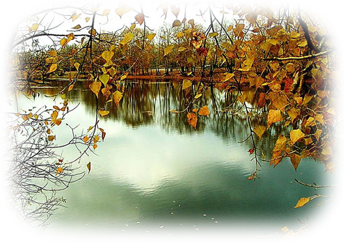 4644d8e61d34196c82d9edb491e1651c