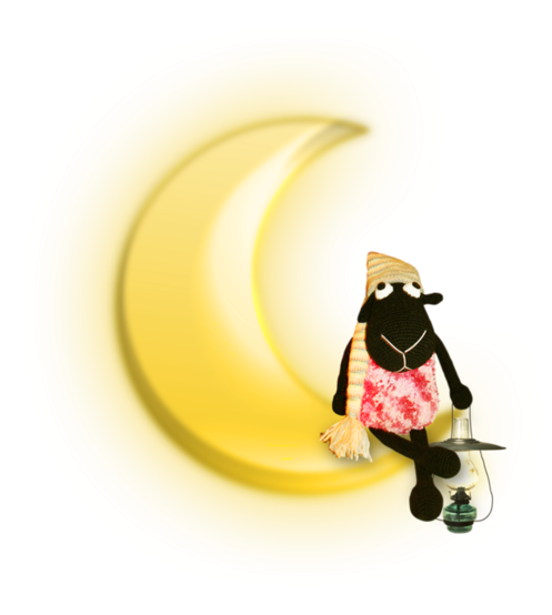 c7087903.png
