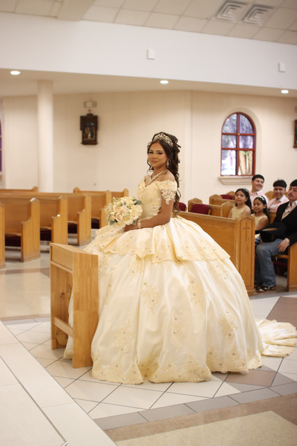 IMG-8229
