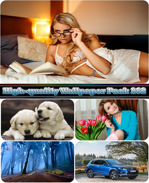 High-quality Wallpaper Pack 262