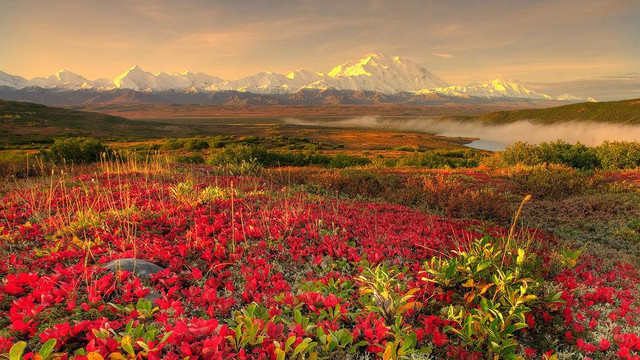 Alaska