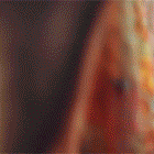 36.gif