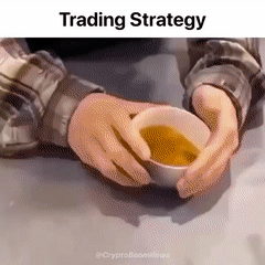 https://i.ibb.co/ym1L14xC/trading-240.gif