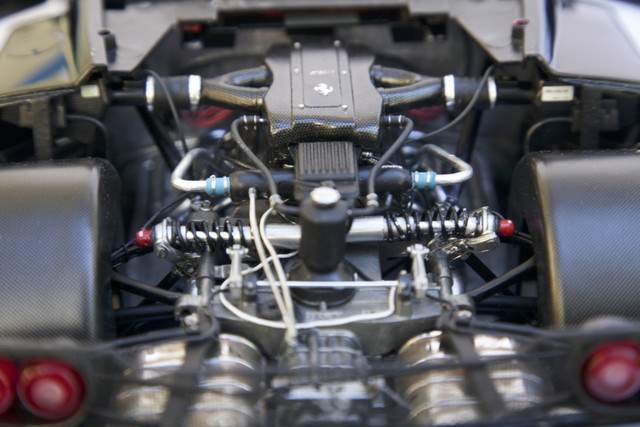 MG 6755.jpg