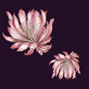01-1260