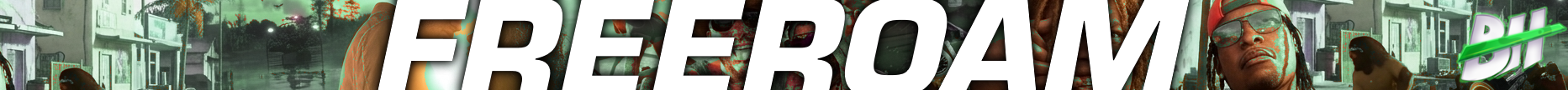 Détails du serveur BH Freeroam - DEV