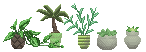 small-plants.png