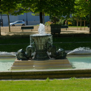 DSCF9135