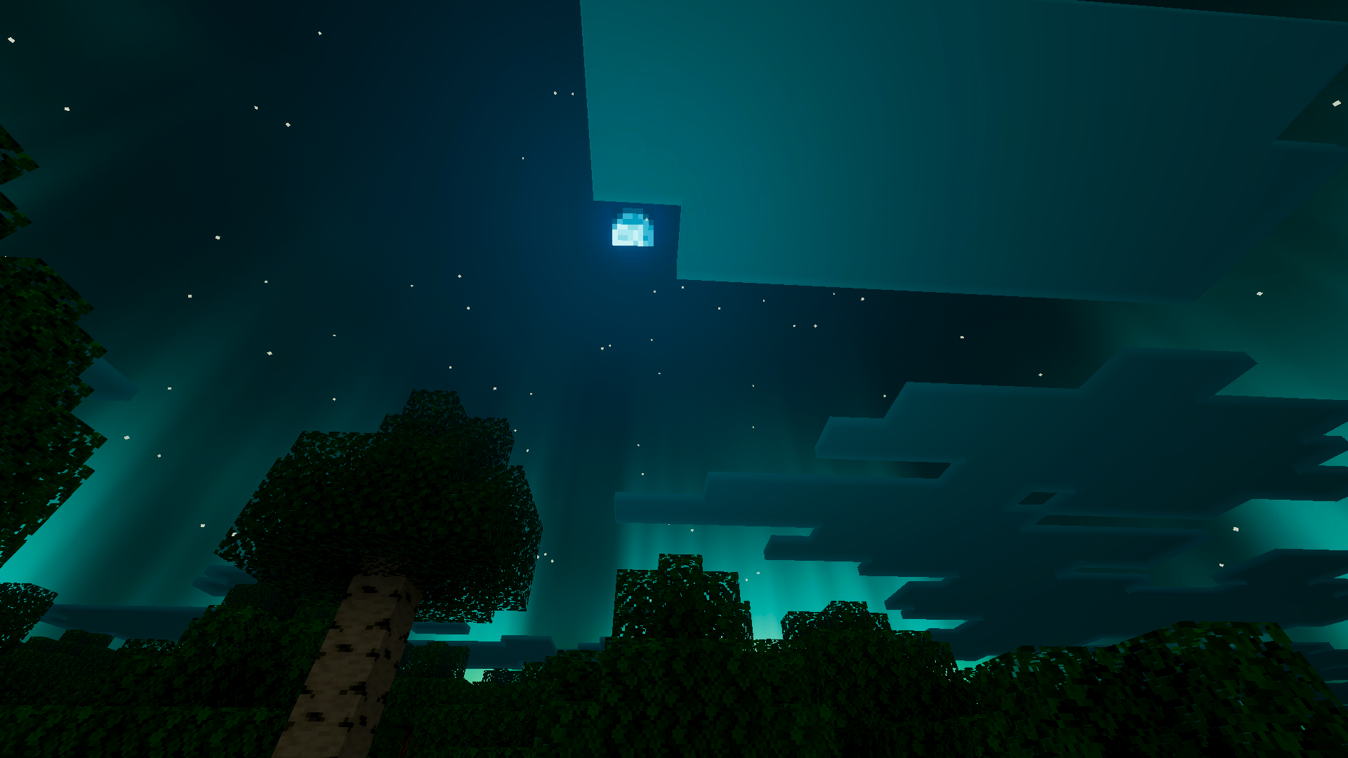 Moon Over Aurora Forest