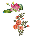 c2a6bf066182cfe93101a9c8bf3538af