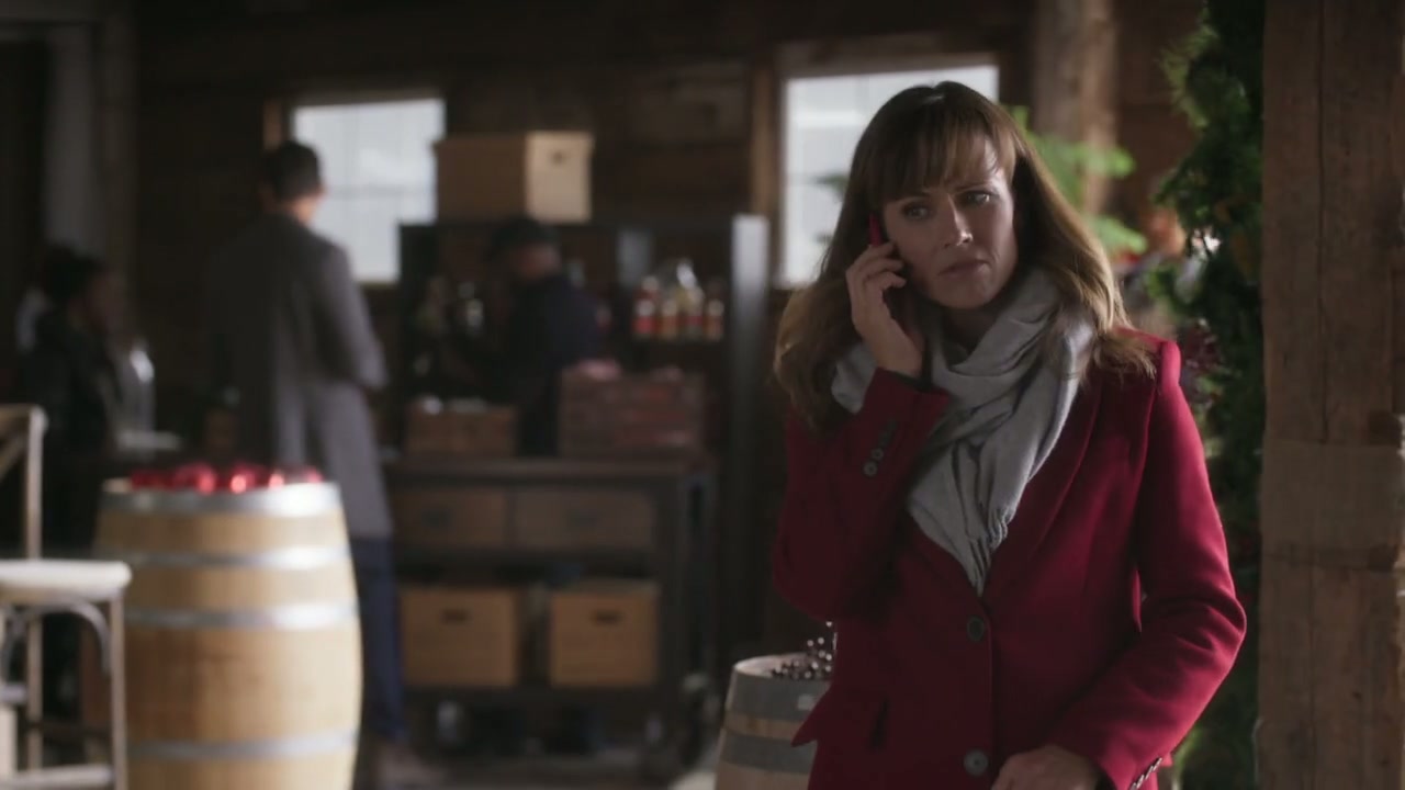 Cranberry Christmas Screenshot