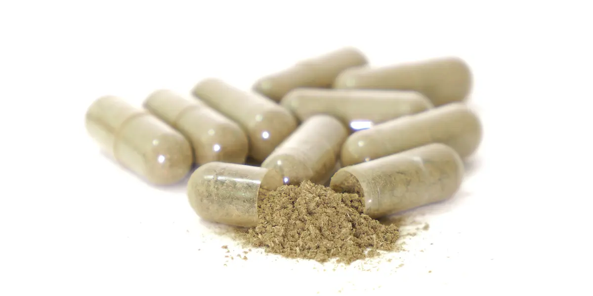 American Ginseng Extract Boosts Memory and Brain Waste Clearance in Elderly Rats