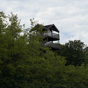 IMG 2364