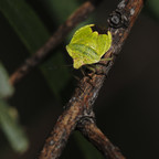 P9053485-1.jpg