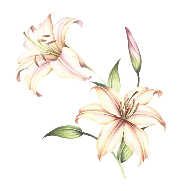 shutterstock 413080189 copy.png