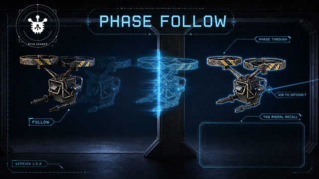 10 Phase Follow.jpg