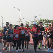 IMG-0342