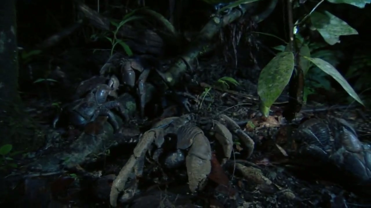 South Pacific Screenshot
