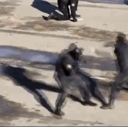 spetsnaz training.gif