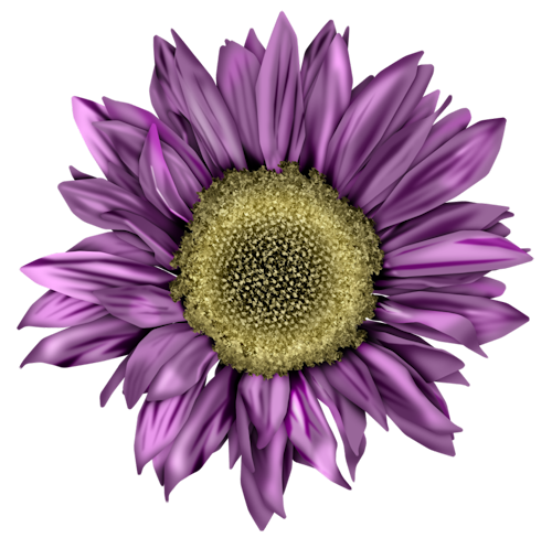 FM-Fl-W-Element-51.png