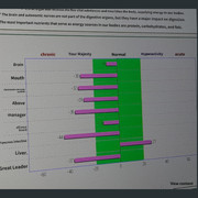 Health Testing Results 04